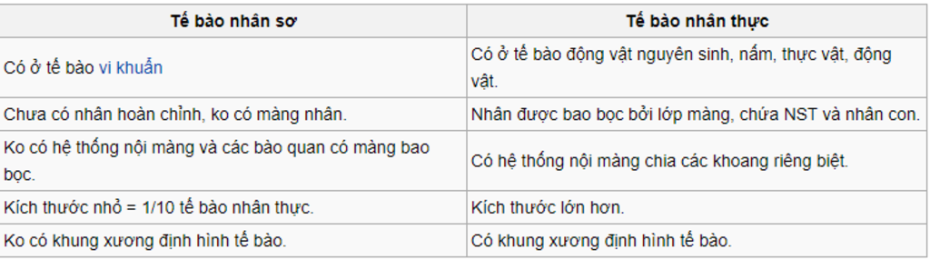 neu-cac-diem-khac-biet-ve-cau-truc-giua-te-bao-nhan-so-va-nhan-thuc