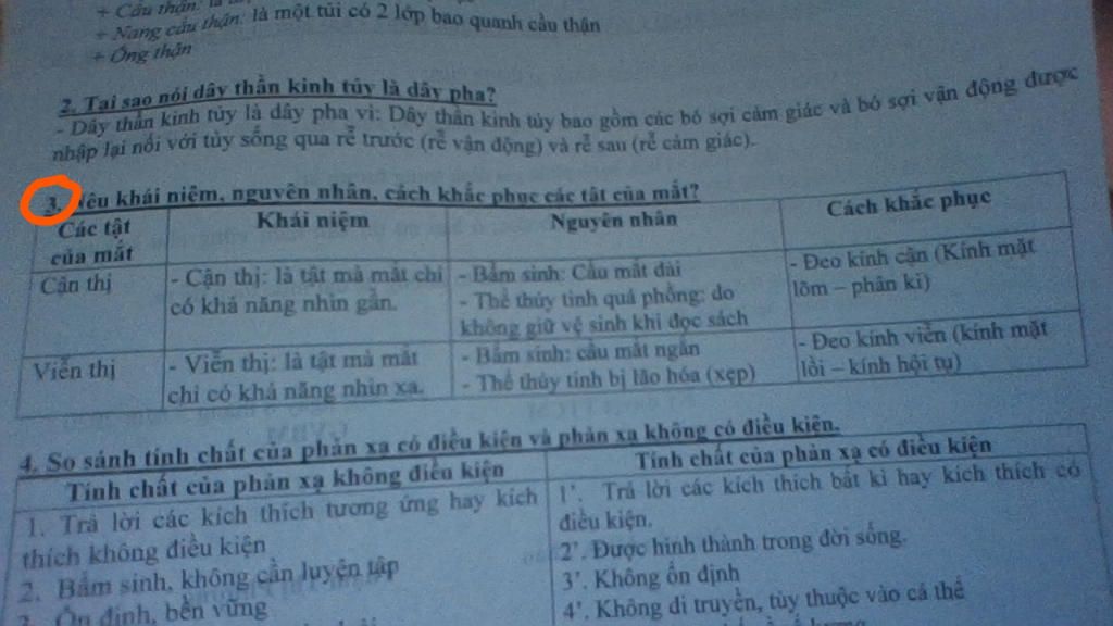 neu-cac-tat-mat-nguyen-nhan-va-cach-khac-phuc
