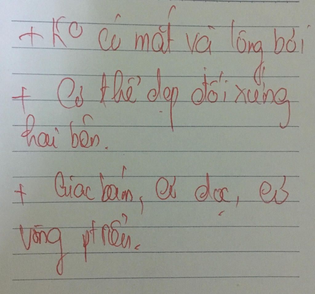neu-cau-tao-trong-cua-san-la-gan-nhanh-duoc-tlhn-nhe-khong-co-tren-mang-dau-dung-tim