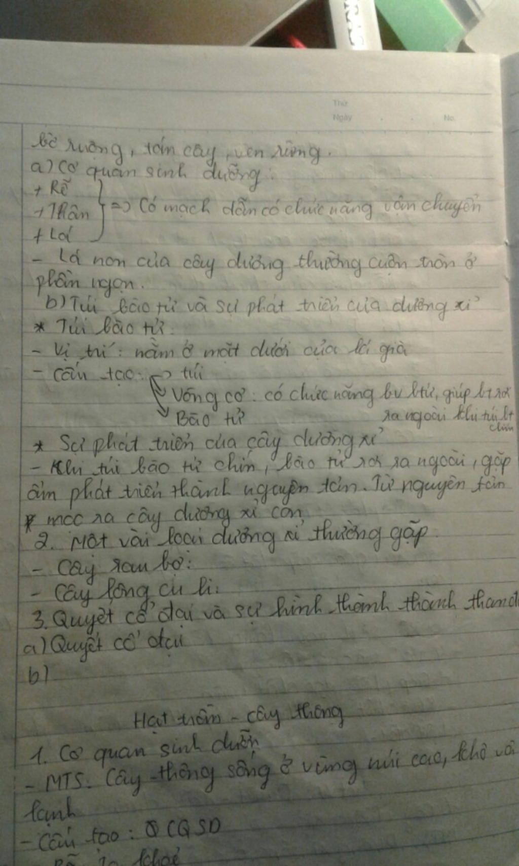 neu-co-quan-sinh-duong-cua-duong-i-va-neu-vai-tro-cua-no-sinh-hoc-6-nhe-chinh-ac-100-ak