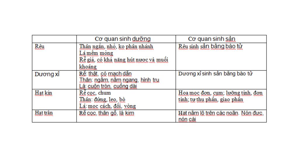 neu-co-quan-sinh-duong-va-sinh-san-cua-tao-reu-duong-i-hat-kin-hat-tran