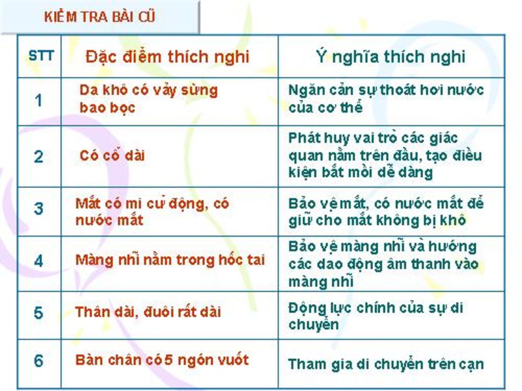 neu-dac-diem-cau-tao-cac-co-quan-dinh-duong-than-kinh-va-giac-quan-cua-than-lan-giup-thich-nghi