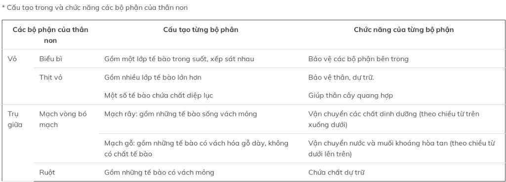 neu-dac-diem-cau-tao-chuc-nang-cua-than