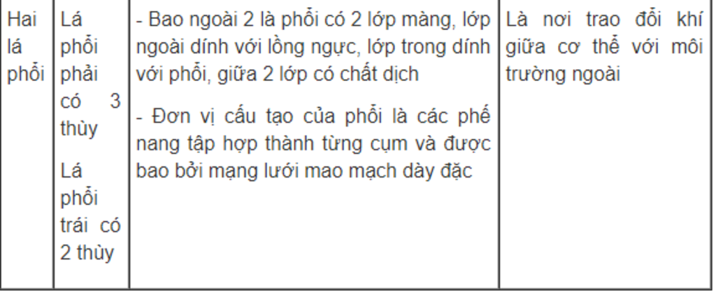 neu-dac-diem-cau-tao-cua-duong-ho-hap-chung-minh-mui-la-co-quan-thich-hop-cho-viec-ho-hap