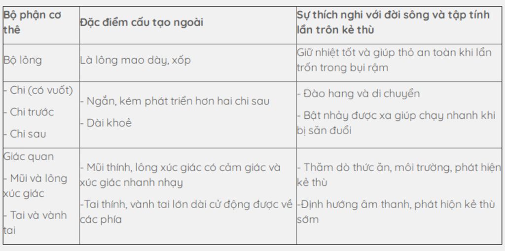 neu-dac-diem-cau-tao-ngoai-cua-tho-thich-nghi-voi-doi-song-va-tap-tinh-chay-chon-ke-thu
