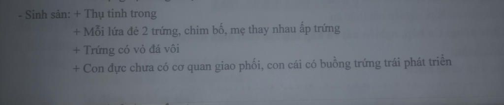 neu-dac-diem-cau-tao-ngoai-va-sinh-san-cua-chim-bo-cau