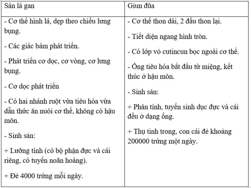 neu-dac-diem-cua-san-la-gan-khac-voi-giun-dua-bien-phap-phong-tranh-giun-dua-ki-sinh