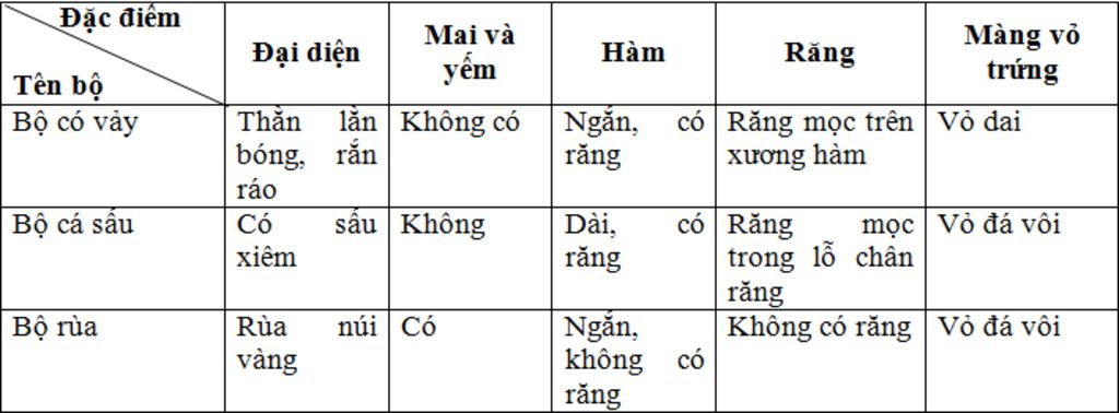 neu-dac-diem-dac-trung-phan-biet-cac-bo-trong-lop-bo-sat
