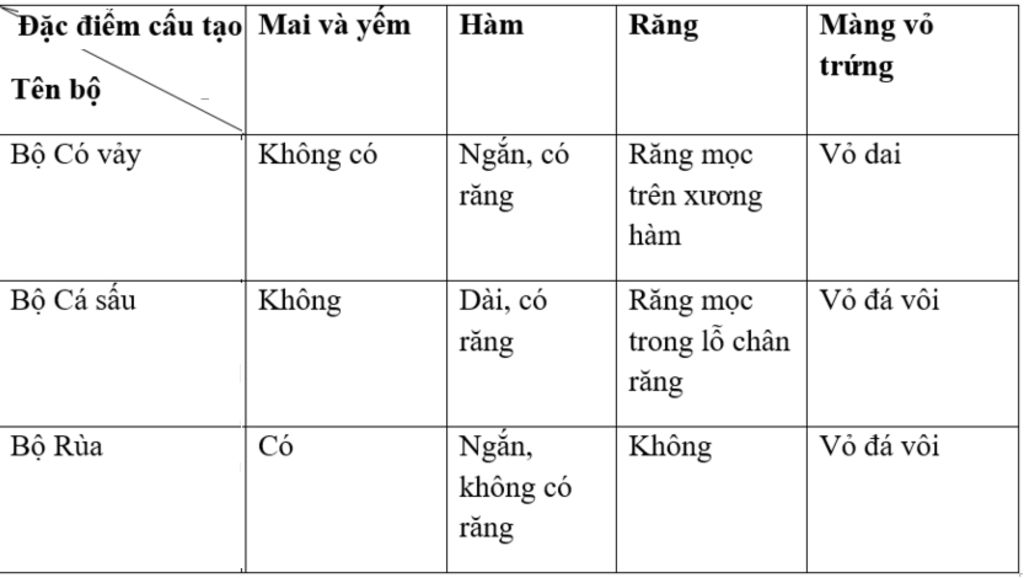 neu-dac-diem-de-phan-biet-bo-co-vay-bo-ca-sau-bo-rua-bn-nao-chep-mang-lam-vo-van-ac-dinh-nhe