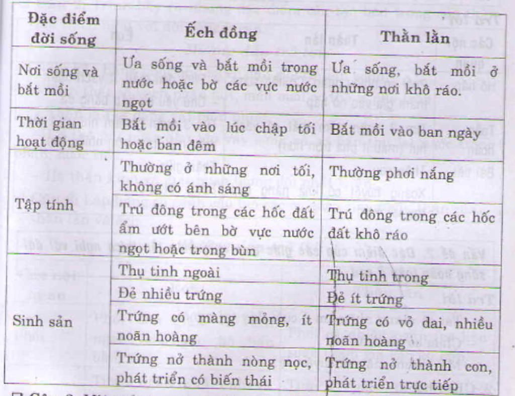 neu-dac-diem-doi-song-than-lan-va-doi-song-cua-than-lan-khac-ech-dong-cho-nao