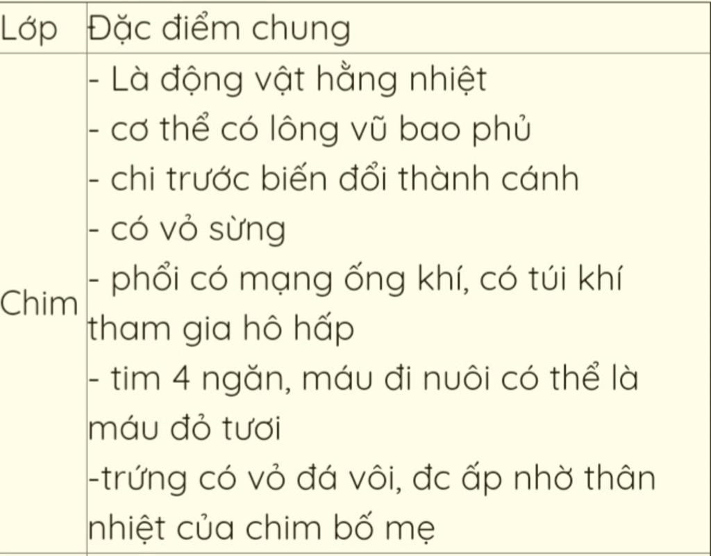 neu-dac-diem-dong-nhau-cua-cau-tao-ngoai-3-lop-luong-cu-bo-sat-lop-chim