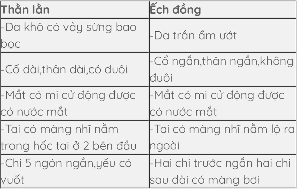 neu-dac-diem-giong-va-khac-nhau-ve-cau-tao-ngoai-cua-than-lan-tien-hoa-hon-ech-dong-o-ddiemr-nao