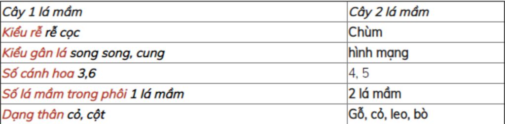 neu-dac-diem-phan-biet-hat-hai-la-mam-voi-hat-mot-la-mam-cho-vi-du-ve-hat-1-la-mam-va-2-la-mam-g
