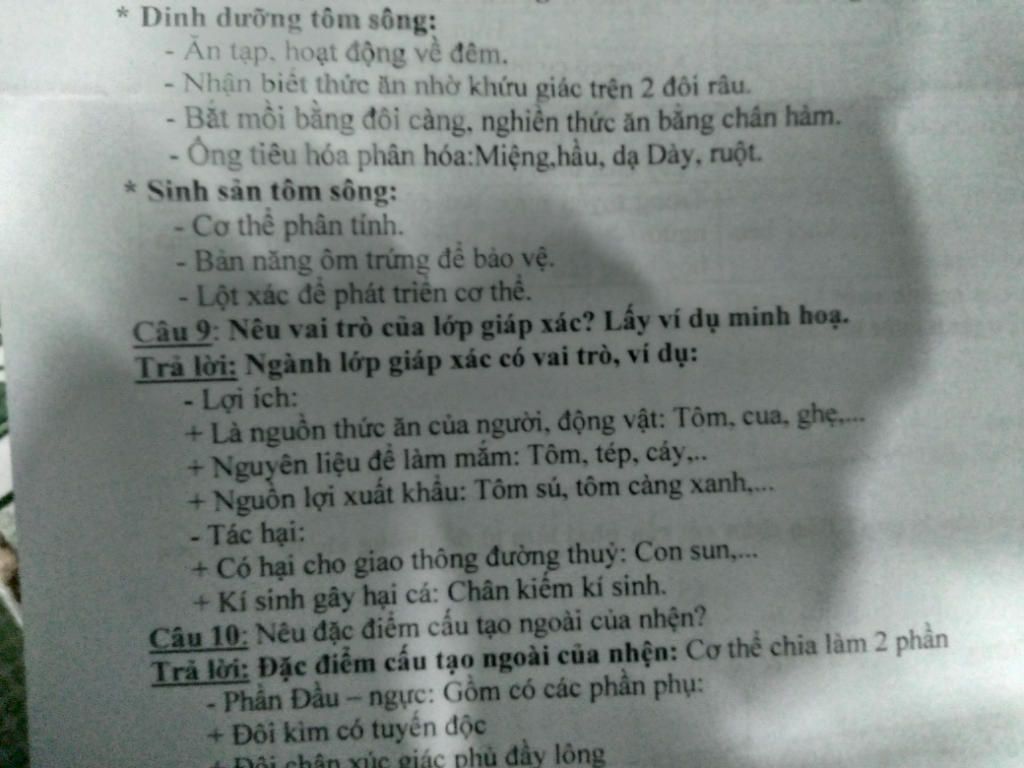neu-dac-diem-ve-dinh-duong-va-sinh-san-cua-tom-song