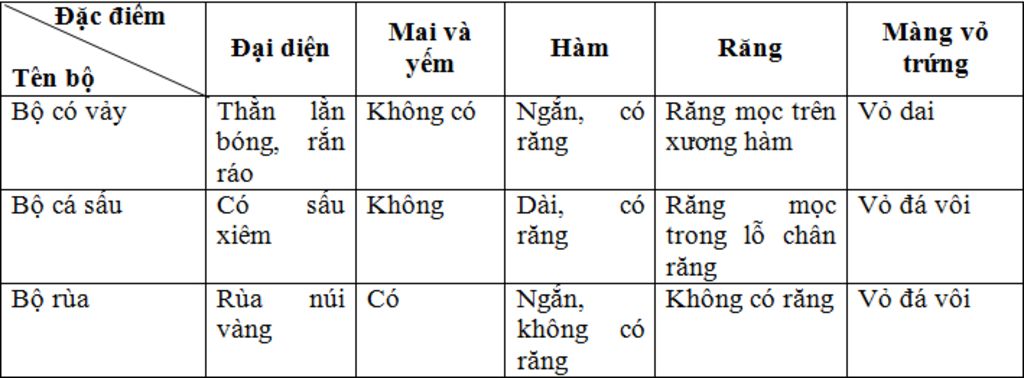 neu-dac-trung-cua-ba-bo-bo-sat-thuong-gap