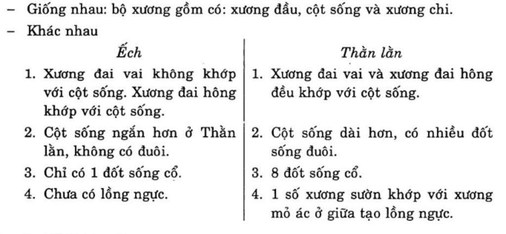neu-diem-giong-va-khac-nhau-cua-bo-uong-chim-bo-cau-va-bo-uong-chim-than-lan