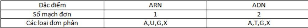 neu-diem-khac-nhau-co-ban-trong-cau-truc-cua-adn-va-arn