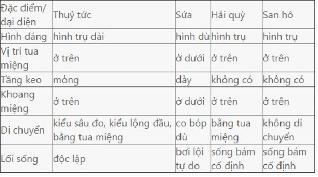 neu-diem-khac-nhau-giua-san-ho-sua-hai-quy-ve-hinh-dang-cau-tao-va-doi-song-lam-dung-giup-minh-n