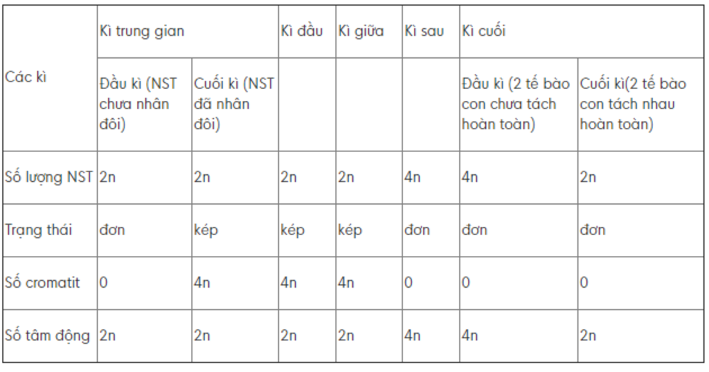 neu-dien-bien-cac-ki-nguyen-phan-giam-phan-tinh-so-nhiem-sac-the-so-tam-dong-so-cromatit-o-cac-k