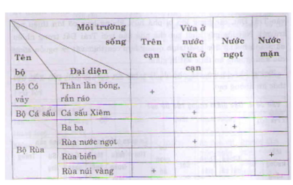 neu-moi-truong-song-cua-tung-dai-dien-cua-ba-bo-bo-sat-thuong-gap
