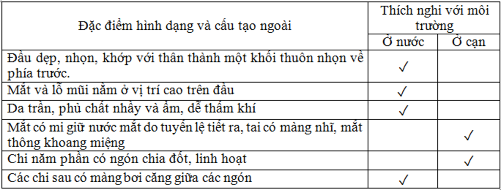 neu-nhung-dac-diem-cau-tao-ngoai-cua-ech-dong-thich-nghi-voi-doi-song-o-can-nhung-dac-diem-do-co