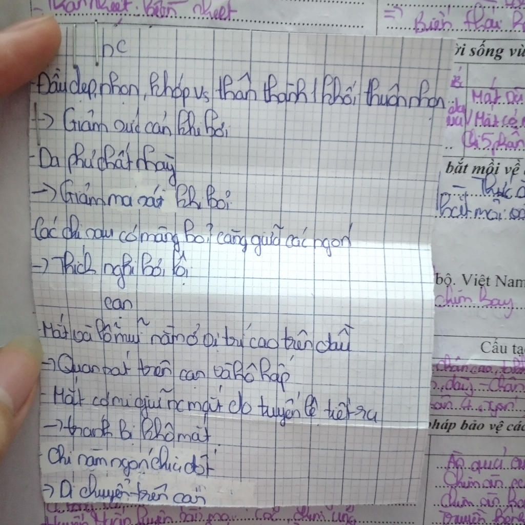 neu-nhung-dac-diem-cau-tao-ngoai-cua-ech-dong-trong-nhung-dac-diem-do-thi-dac-diem-nao-thich-ngh