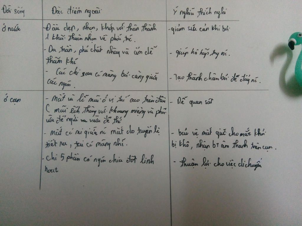 neu-nhung-dac-diem-cau-tao-ngoai-cua-ech-thich-nghi-voi-doi-song