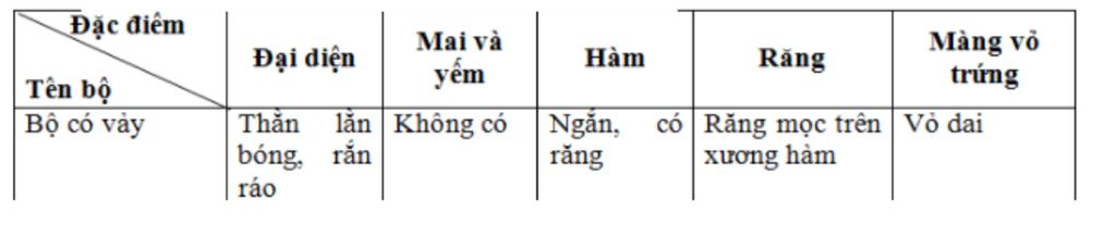 neu-nhung-dac-diem-cau-tao-ngoai-dac-trung-cua-bo-co-vay-help-meeeeeeeeeeeee