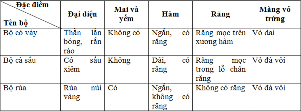 neu-nhung-diem-dat-trung-de-phan-biet-3-bo-bo-sat