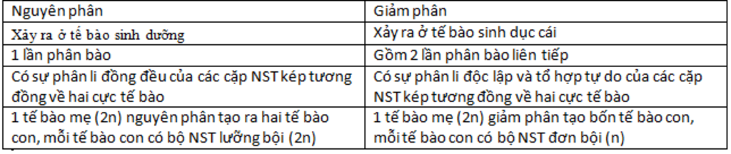 neu-nhung-diem-giong-nhau-va-khac-nhau-giua-giam-phan-va-nguyen-phan