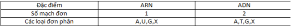 neu-nhung-diem-khac-nhau-co-ban-trong-cau-truc-arn-va-and