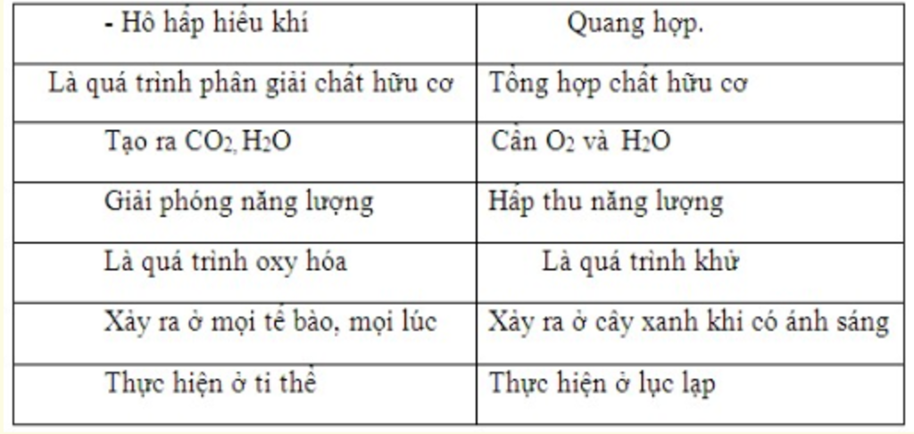 neu-nhung-diem-khac-nhau-giua-a-ho-hap-hieu-khi-va-quang-hop-b-hai-dang-phosphoril-hoa-quang-hop