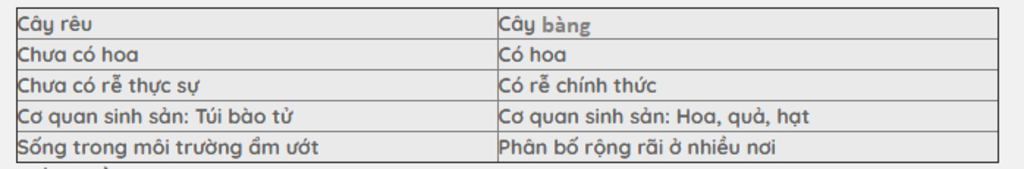 neu-nhung-diem-khac-nhau-giua-cay-reu-va-rong-mo-voi-cay-bang-tai-sao-cay-reu-ep-vao-nhom-thuc-v