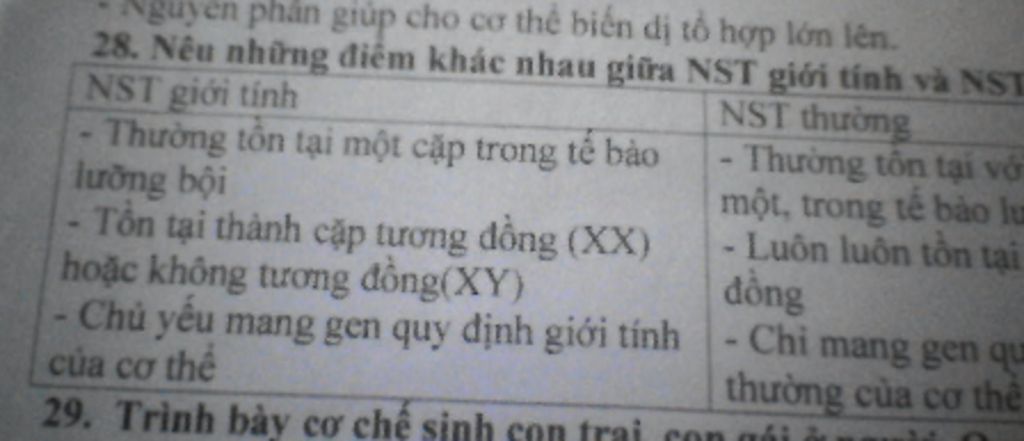 neu-nhung-diem-khac-nhau-giua-nhiem-sac-the-gioi-tinh-va-nhiem-sac-the-thuong