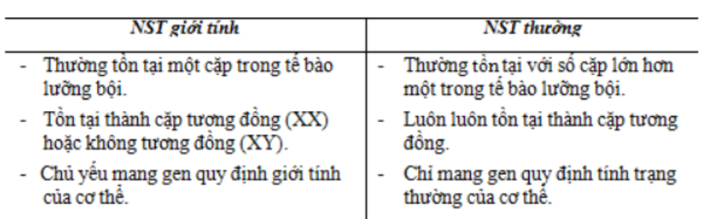 neu-nhung-diem-khac-nhau-giua-nhiem-sac-the-thuong-va-nhiem-sac-the-gioi-tinh