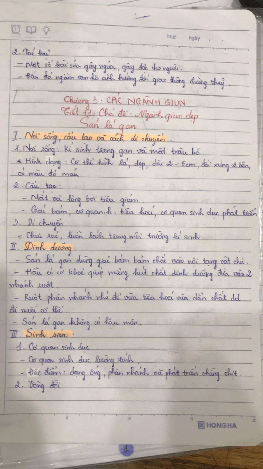 neu-noi-song-cau-tao-ngoai-cach-di-chuyen-co-quan-sinh-san-vong-doi-phat-trien-cua-san-la-gan-gi