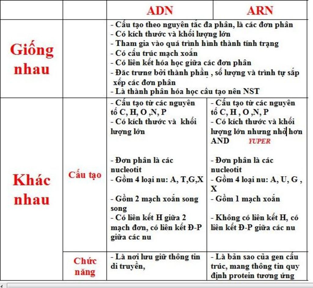 neu-su-giong-nhau-va-khac-nhau-cua-adn-va-arn