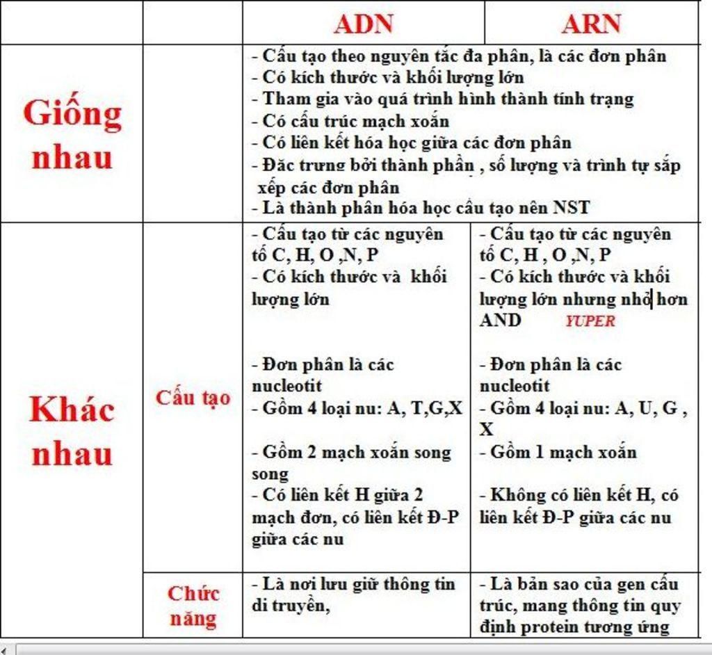 neu-su-khac-biet-ve-cau-truc-giua-adn-va-arn-yeu-cau-ke-bang