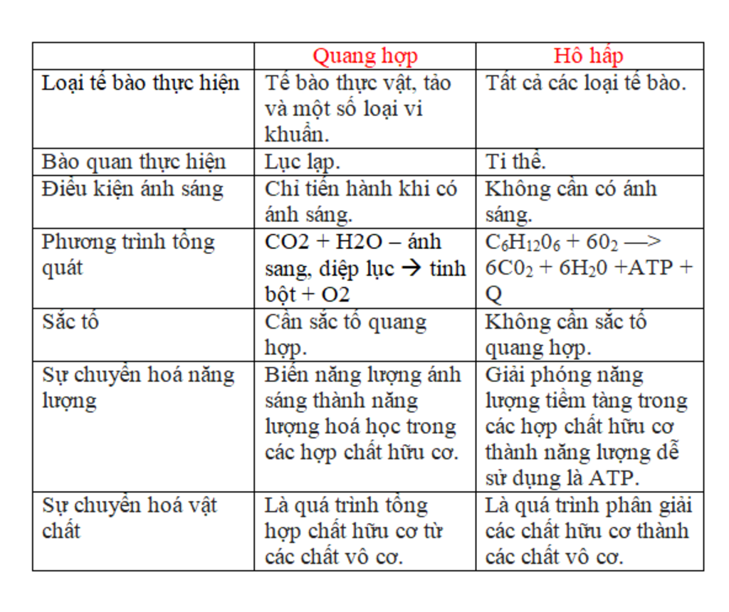 neu-su-khac-nhau-cua-qua-trinh-quang-hop-va-qua-trinh-ho-hap-neu-cac-kieu-bien-dang-cua-la-va-ch