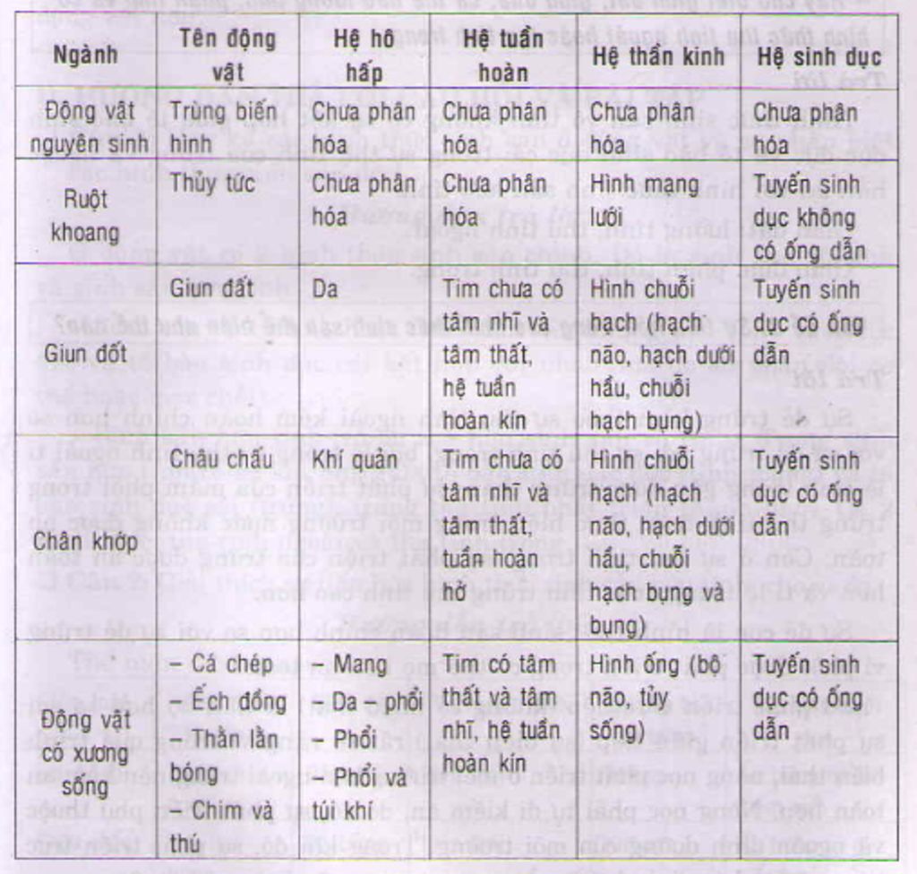 neu-su-phan-hoa-va-chuyen-hoa-mot-so-he-co-quan-trong-qua-trinh-tien-hoa-cua-cac-nganh-dong-vat