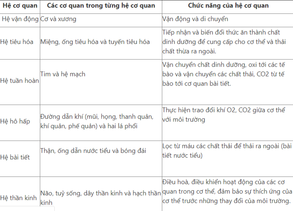 neu-thanh-phan-chuc-nang-cua-cac-he-co-quan-trong-co-the-nguoi