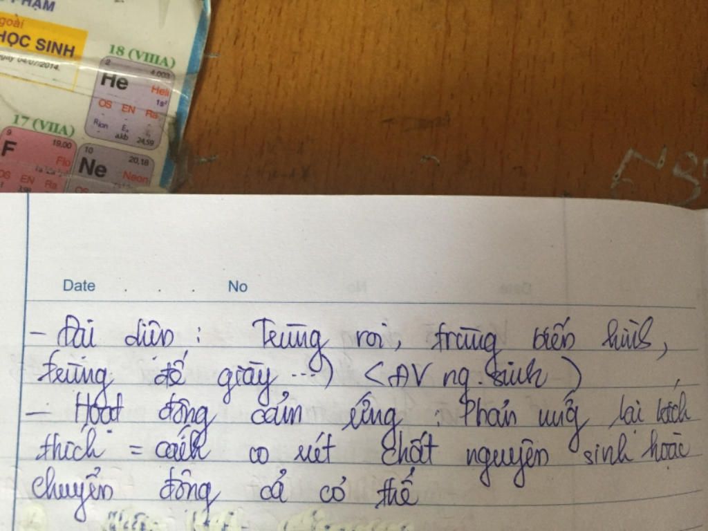 neu-tom-tat-phan-cam-ung-o-dong-vat-chua-co-to-chuc-than-kinh-nhuong-ban-nguyenthitra2003-nha