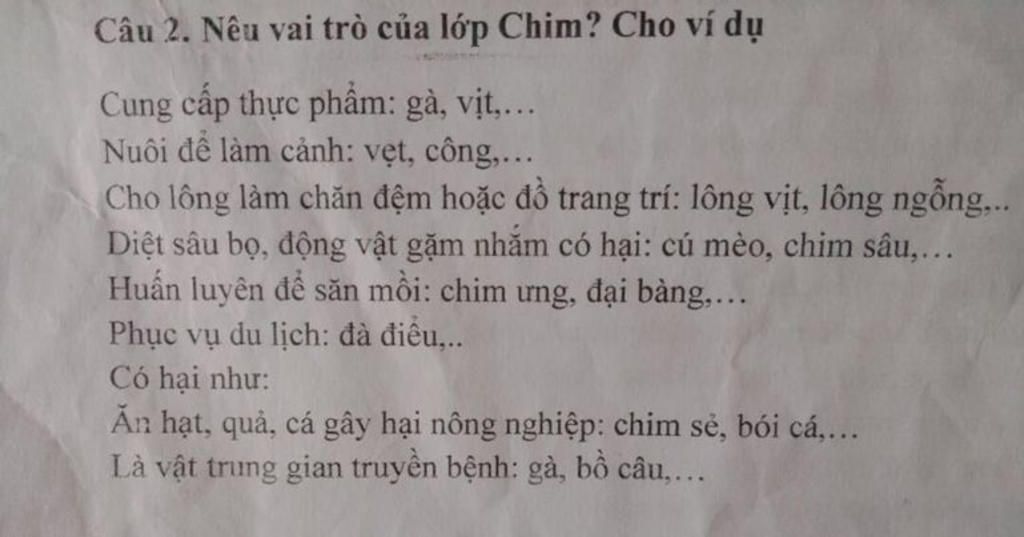 neu-vai-tro-cua-lop-chim-cho-vi-du-trinh-bay-dac-diem-chung-cua-lop-bo-sat-nhanh-a