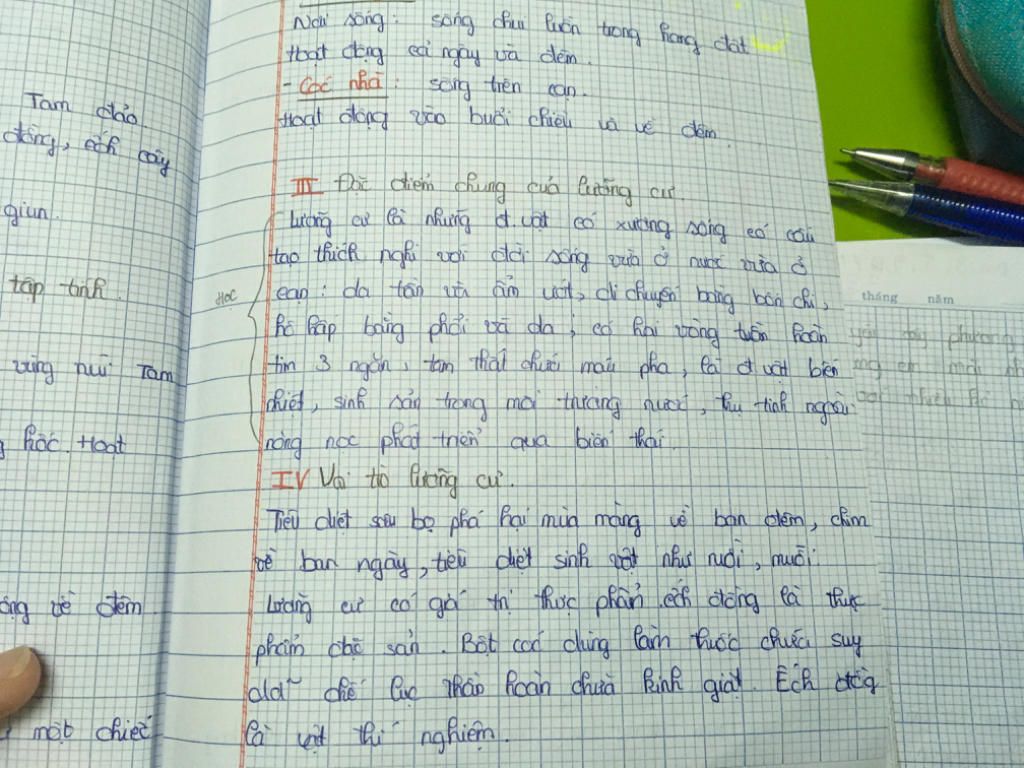 neu-vai-tro-cua-luong-cu-mat-tot-va-au