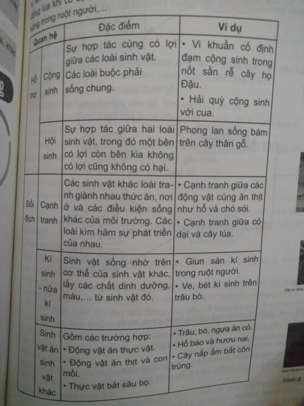 neu-vi-du-ve-cong-sinh-hoi-sinh-canh-tranh-ki-sinh-nua-ki-sinh-sinh-vat-an-sinh-vat-khac-moi-loa