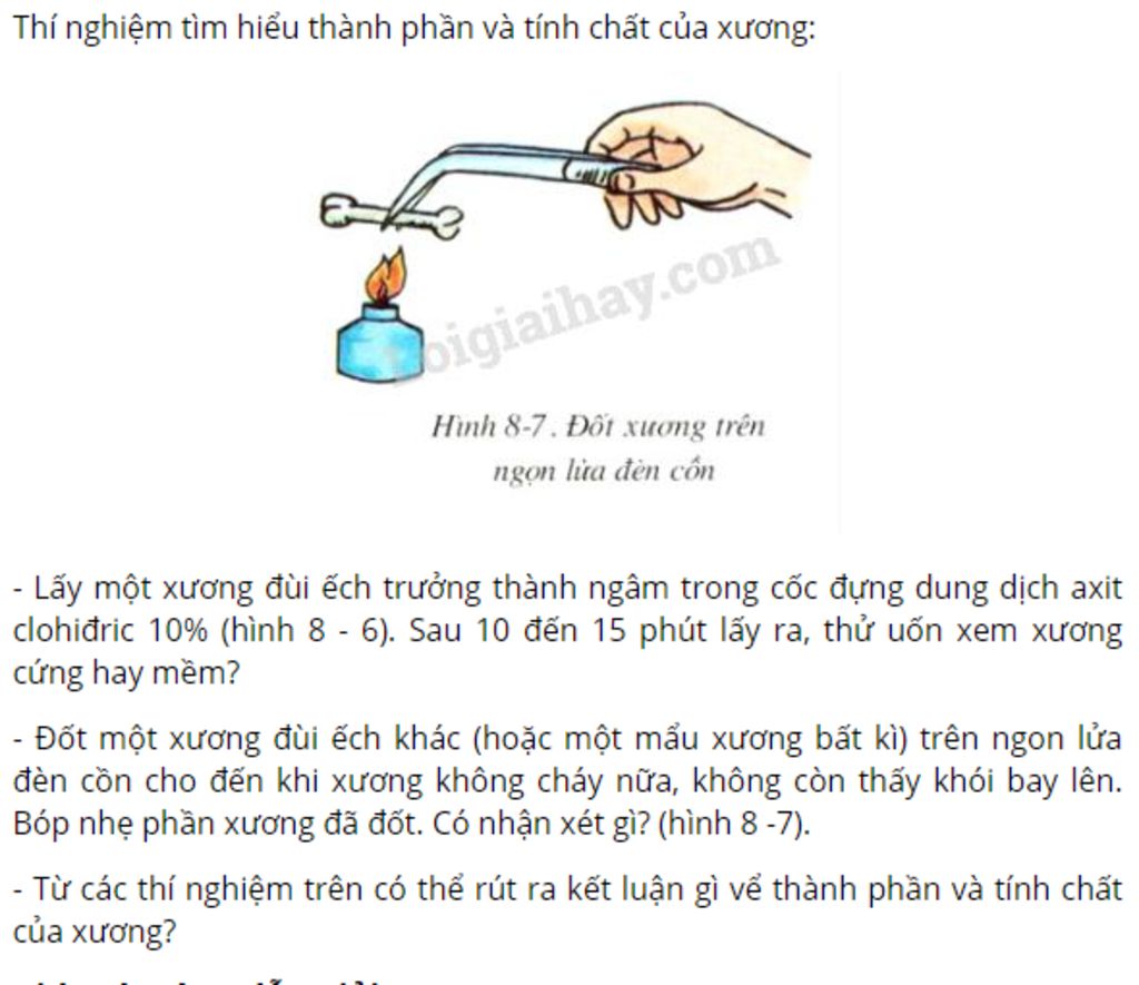 nguoi-ta-lam-thi-nghiem-nhu-the-nao-de-tim-hieu-thanh-phan-va-tinh-chat-cua-uong-neu-thanh-phan