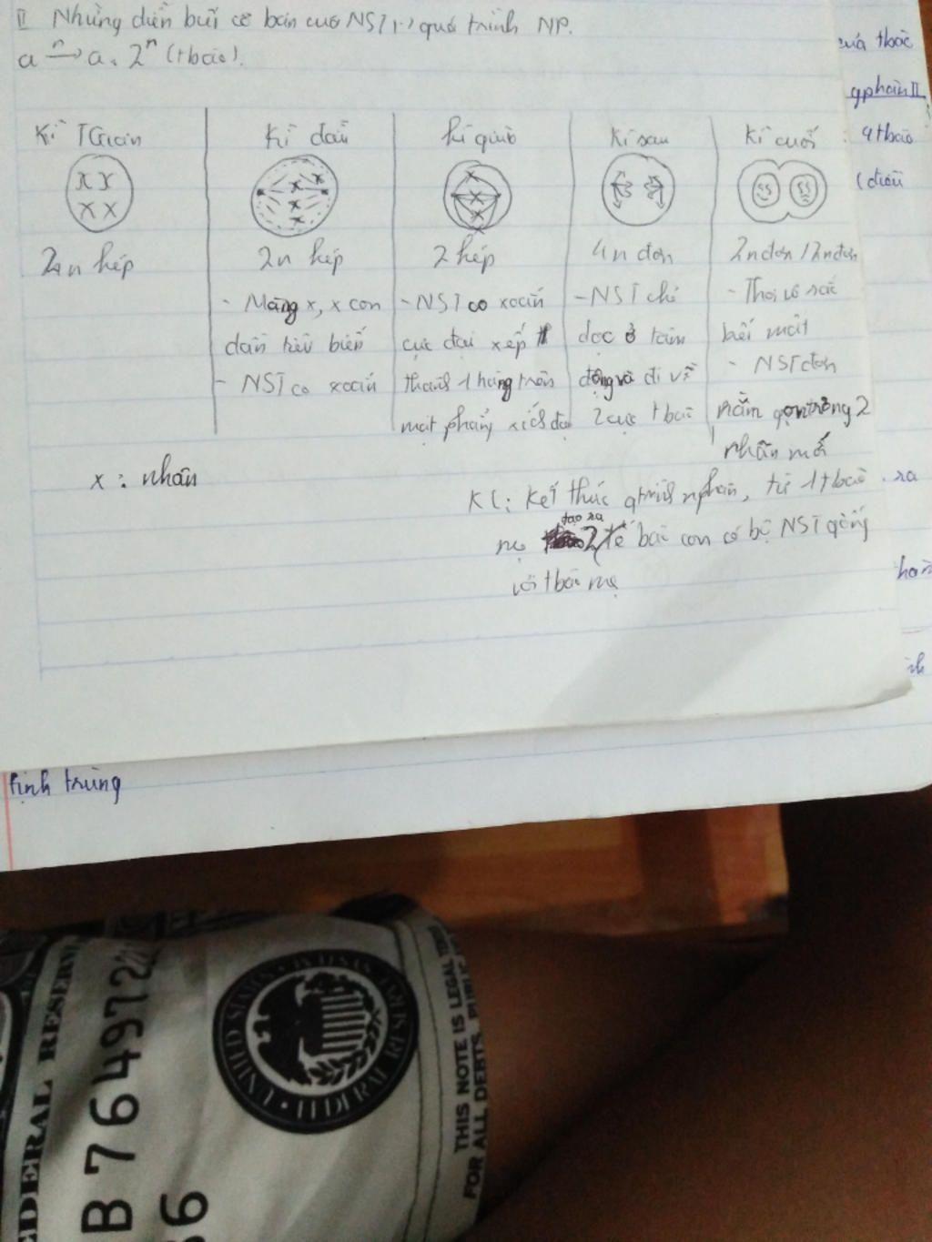 nguyen-phan-la-j-giam-phan-la-j-nguyen-phan-va-giam-phan-gom-nhung-giai-doan-nao-ket-qua-cua-ngu