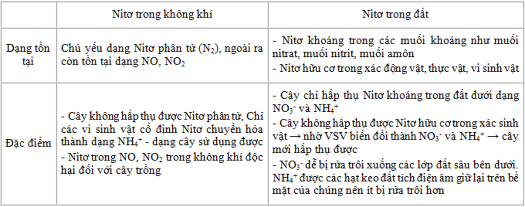 nguyen-to-nito-vai-tro-sinh-ly-doi-voi-cay-nguon-cung-cap-nito-tu-nhien-cho-cay-qua-trinh-chuyen