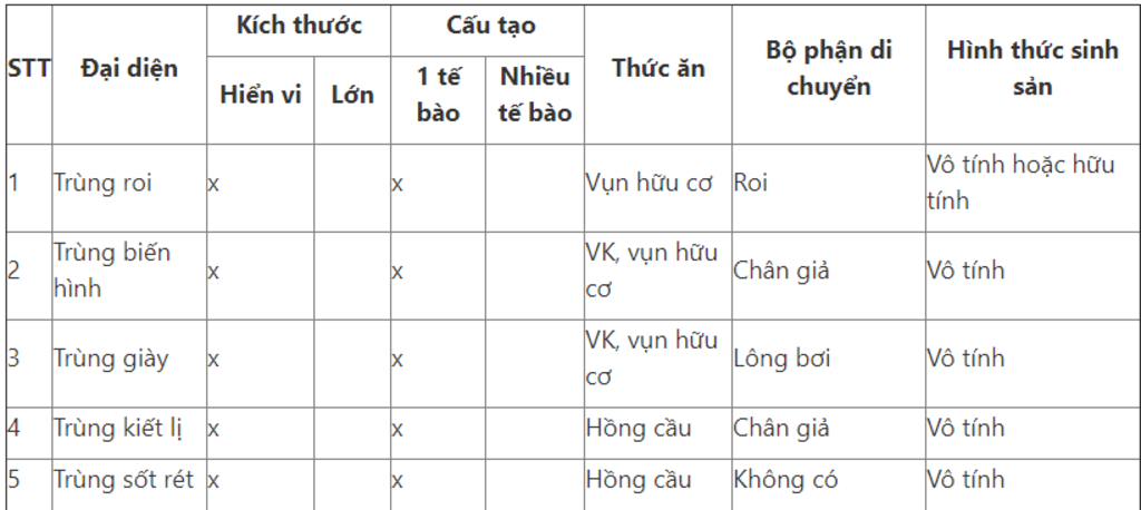 nhan-biet-dac-diem-chung-mo-ta-hinh-dang-cau-tao-va-hoat-dong-cua-1-so-loai-dong-vat-nguyen-sinh