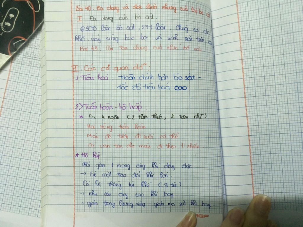 nhan-biet-nhung-dong-vat-thuoc-lop-bo-sat-cho-vi-du